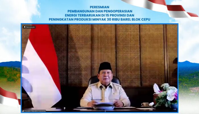 Presiden Resmikan 47 PLTS, 5.383 Rumah Tangga Di Wilayah 3T Kini Nikmati Listrik Bersih