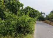 PUPR Agara Janji Bersihkan Rumput Liar Setelah Ada Perintah