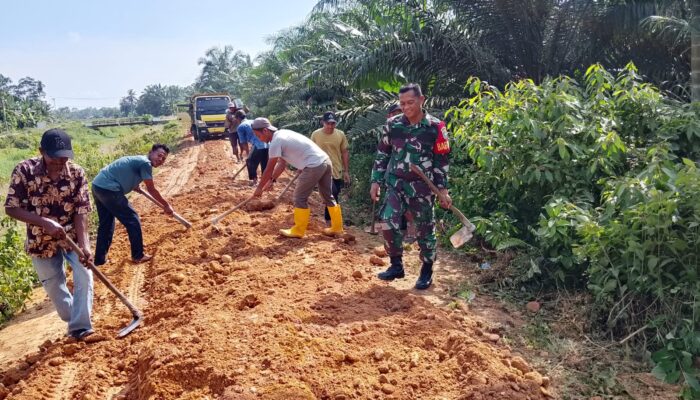 Babinsa Dan Warga Pandan Sari Gotong Royong Perbaiki Jalan Usaha Tani