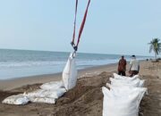 Seribu Geobag Tangkal Abrasi Pantai Lhok Puuk, Aceh Utara