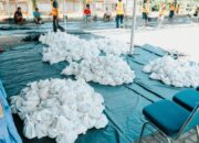 Muslim PalmCo Rampungkan Penyaluran 61 Ton Paket Daging Kurban Di 50 Kabupaten dan Kota