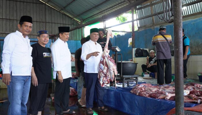 Kanwil Kemenagsu Sembelih 7 Ekor Hewan Kurban