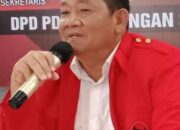 Rapidin Simbolon Curigai Ada Nikel Di Empat Pulau