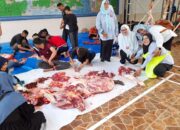 IKAL SMAN 6 Sembelih 8 Hewan Qurban