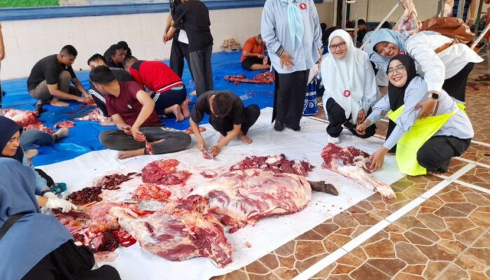 IKAL SMAN 6 Sembelih 8 Hewan Qurban