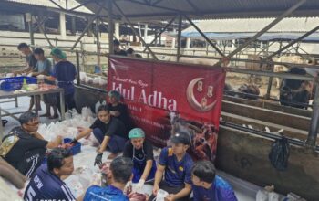 Raih Kepercayaan Masyarakat, Yasbil Sembelih 200 Sapi Kurban