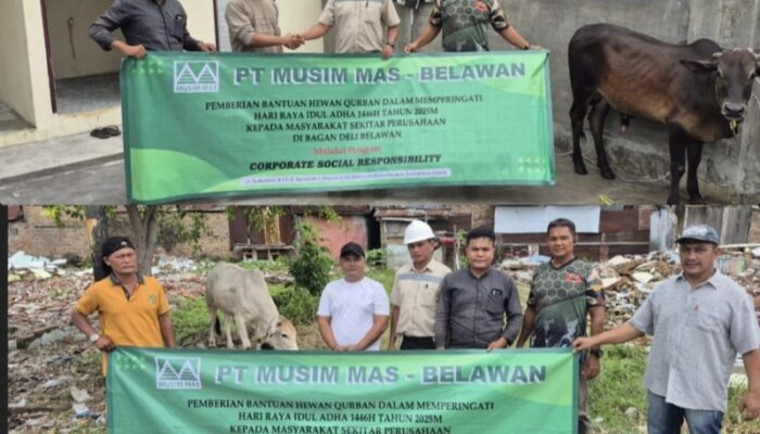 Rayakan Idul Adha 1446 H, Musim Mas Salurkan 201 Hewan Kurban