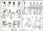 Manfaat Range of Motion (ROM) untuk pasien di ICU
