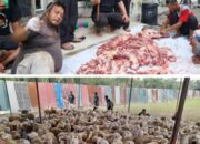 Idul Adha 1446 H, Prof. Ridha Dharmajaya Bagikan 500 Hewan Kurban Di 21 Kecamatan