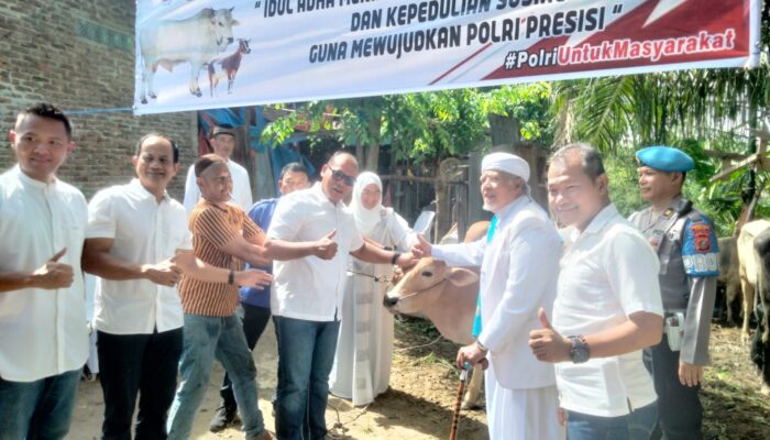 Polrestabes Medan Serahkan 14 Ekor Lembu Kurban Untuk Warga Kota Medan