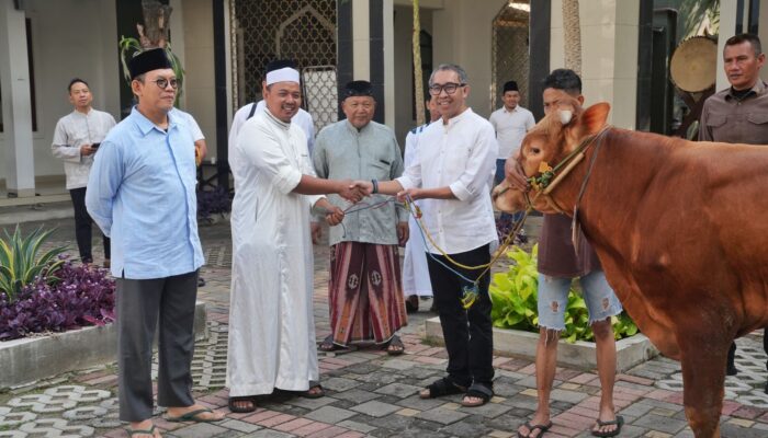 PGN Group Bagikan 955 Hewan Kurban Untuk Masyarakat