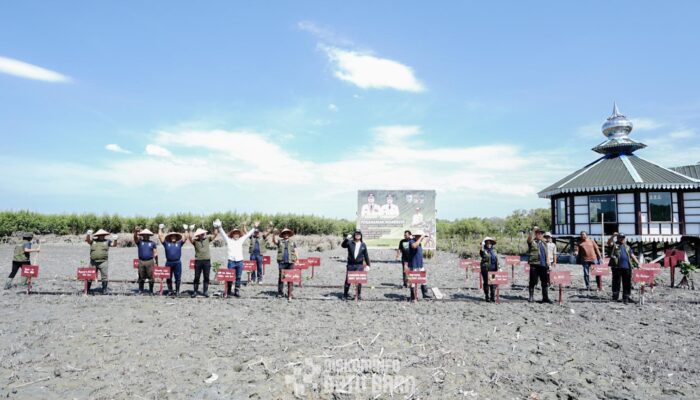 Mangrove Culture Festival Pertama Di Batubara. Suplai Karbon Untuk Dunia