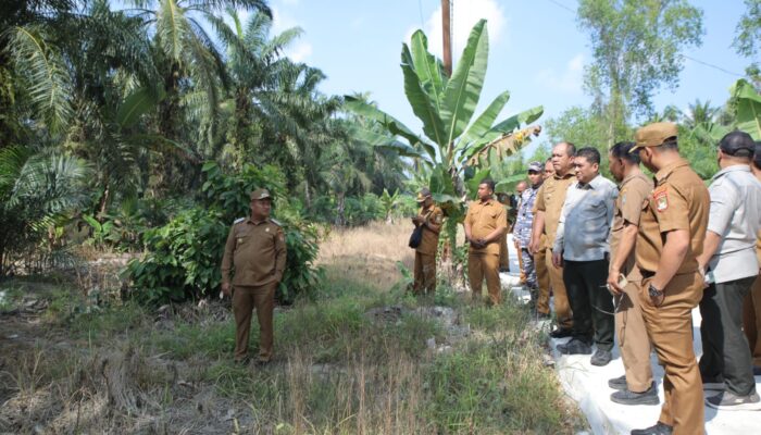 Asahan Siapkan 1200 Ha Lahan Cetak Sawah