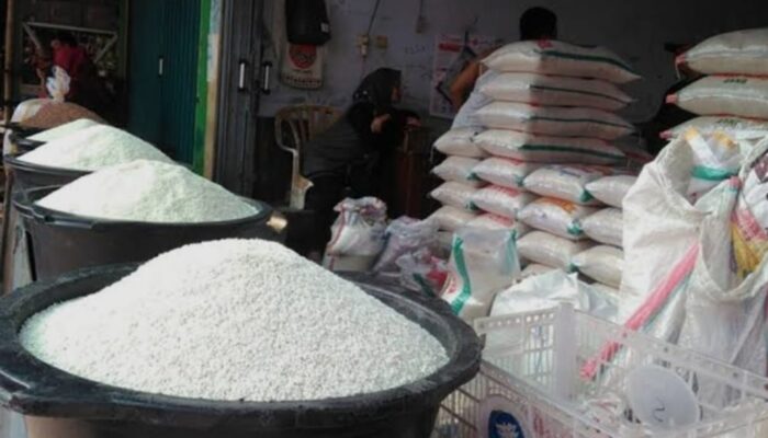 Harga Beras Di Penggilingan, Grosir Dan Eceran Kompak Naik