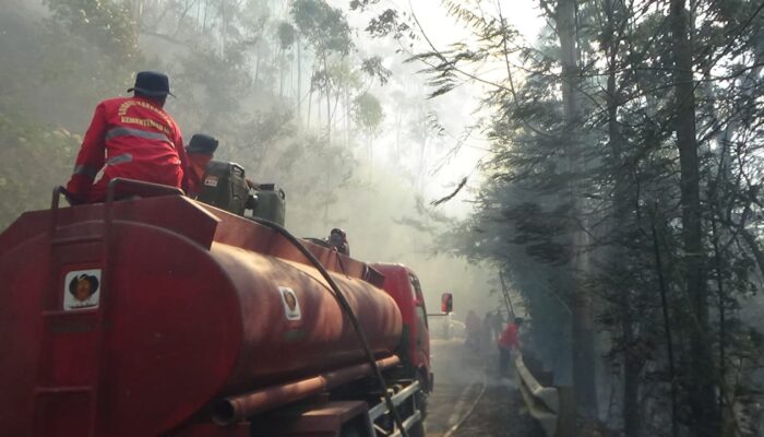 50 Hektare Hutan Tele Kembali Terbakar