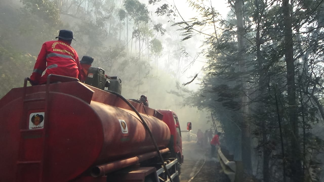 50 Hektare Hutan Tele Kembali Terbakar