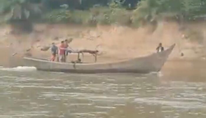 Bocah SMP Hanyut Di Sungai Barumun, Labusel