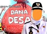 Sedot Hingga Rp1.5 Miliar, Perpustakaan Digital Desa Di Labura Untuk Siapa?