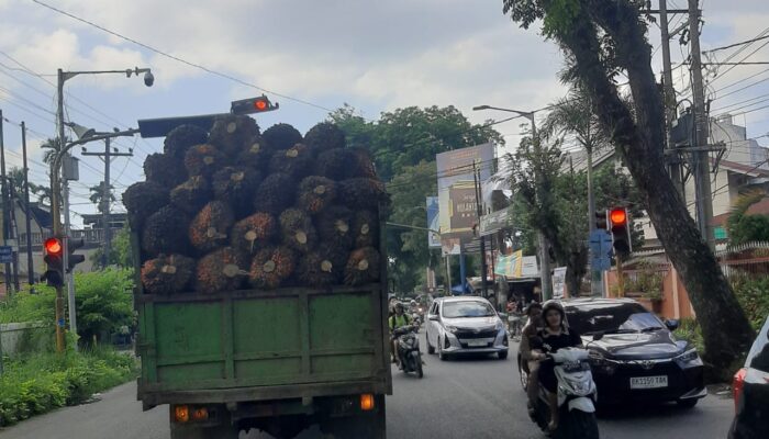 Truk Sawit Tanpa Jaring Pengaman Ancam Pengguna Jalan