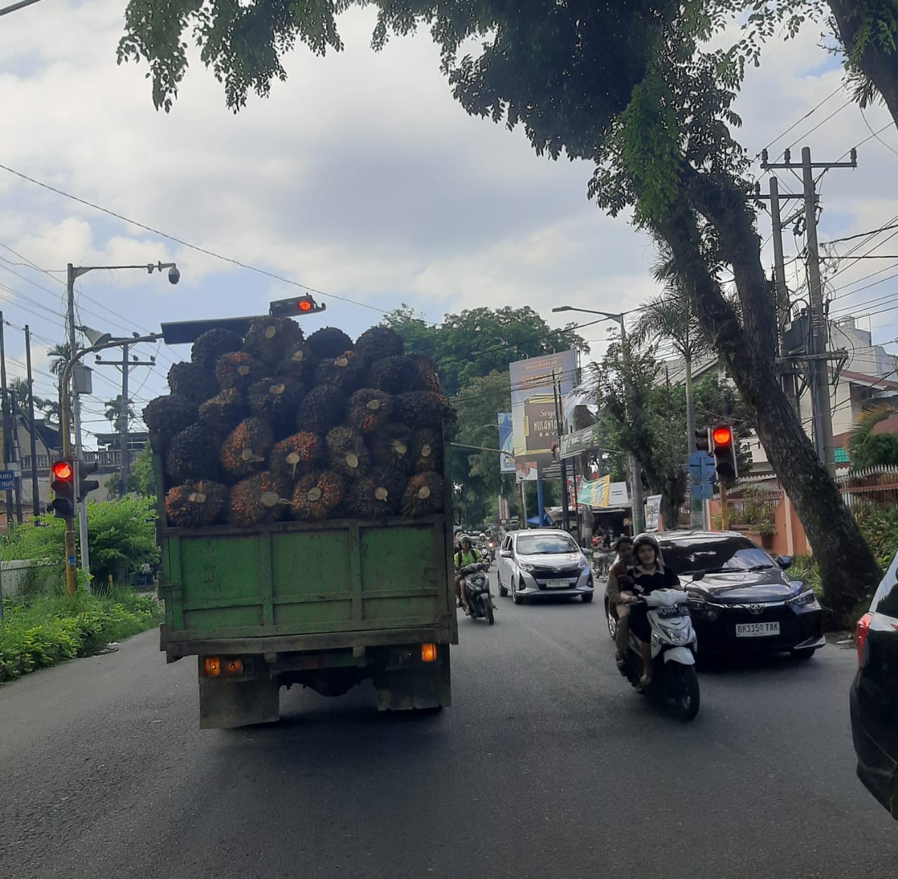 Truk Sawit Tanpa Jaring Pengaman Ancam Pengguna Jalan