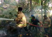 BPBD Aceh Besar Padamkan Kebakaran Lahan Pinus Di Saree