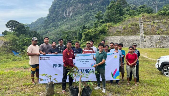 Cinta Alam, PLN Tanam Pohon Di Desa Tangga Sebagai Komitmen Pelestarian Lingkungan