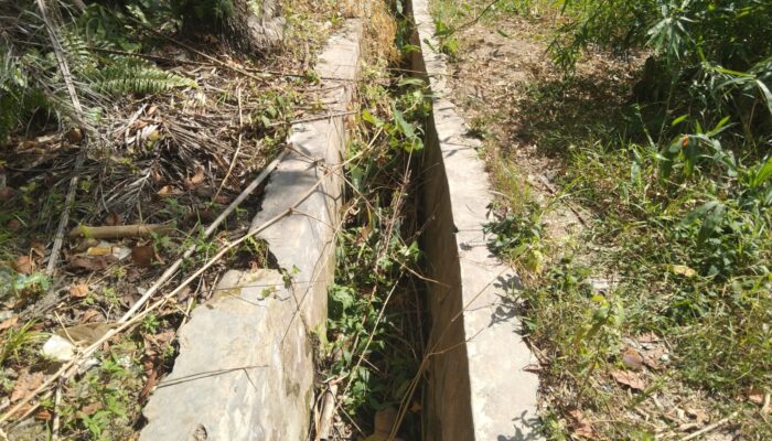 Pembangunan Di Padanglawas Terkesan Kejar Kuantitas Dan Untung