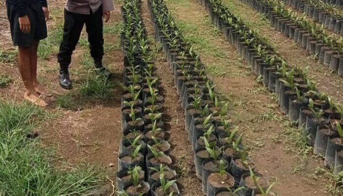 Polres P. Siantar Sambangi Warga Dukung Ketahanan Pangan