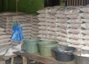 Emak-emak Di Aceh Tenggara Keluhkan Kenaikan Harga Beras