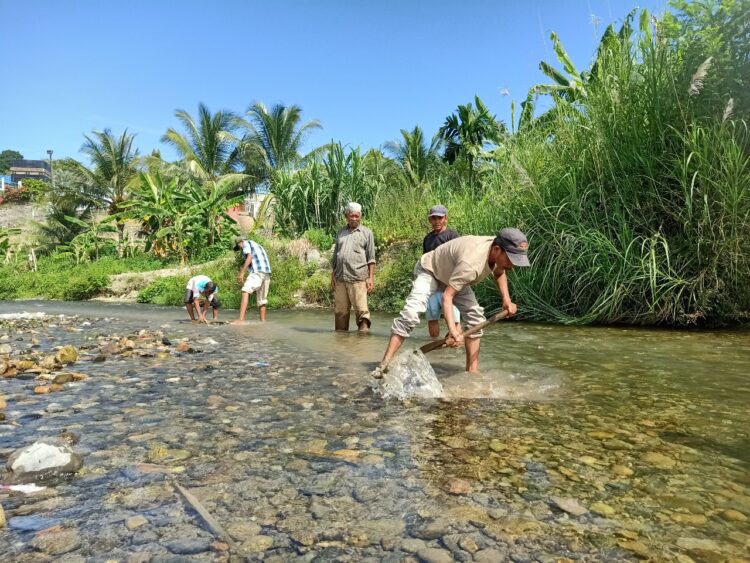 Kondisi Sawah Kering, Petani Abdya Keruk Sungai Ala Manual