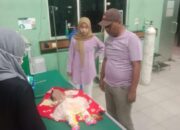 Bayi 11 Bulan Tewas Dianiaya Ibu Kandungnya Di Paluta