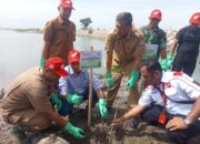 PT Capela Santuni Anak Yatim Dan Tanam 2.000 Bibit Mangrove Di Lhokseumawe