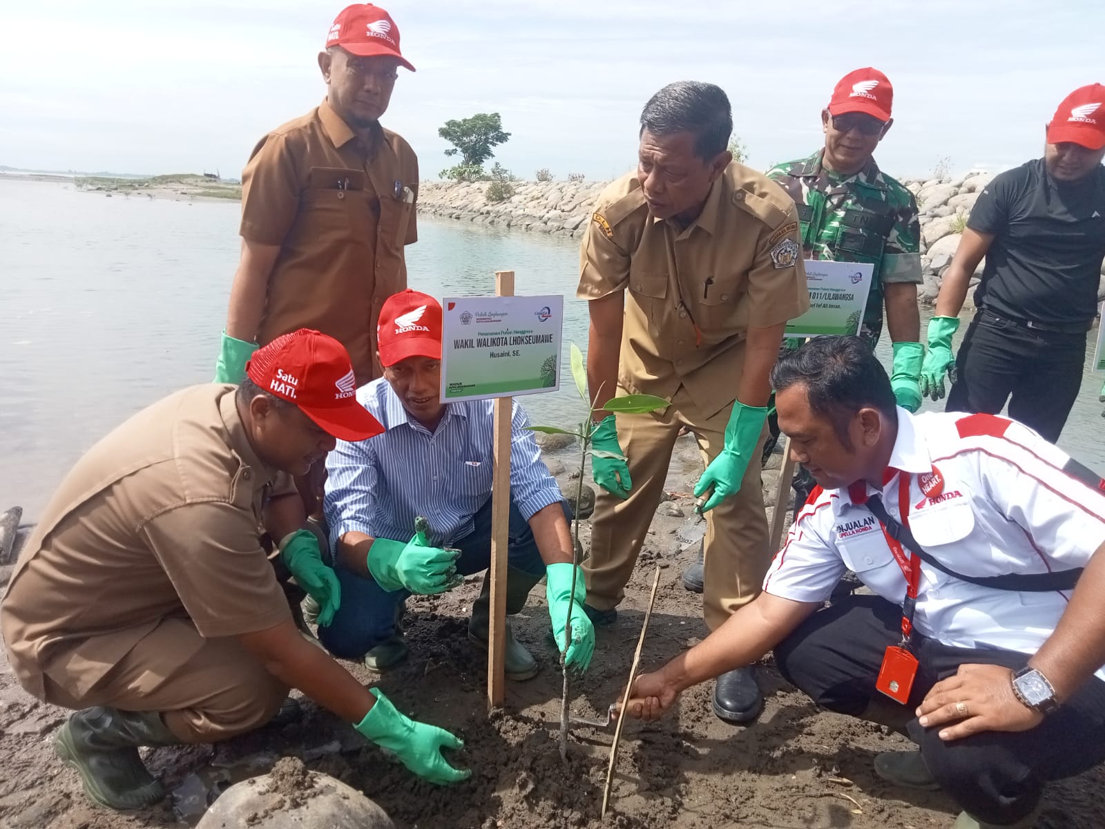 PT Capela Santuni Anak Yatim Dan Tanam 2.000 Bibit Mangrove Di Lhokseumawe
