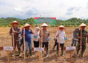 Polres Aceh Tamiang Tanam Jagung Serentak Di Lahan Perhutanan Sosial