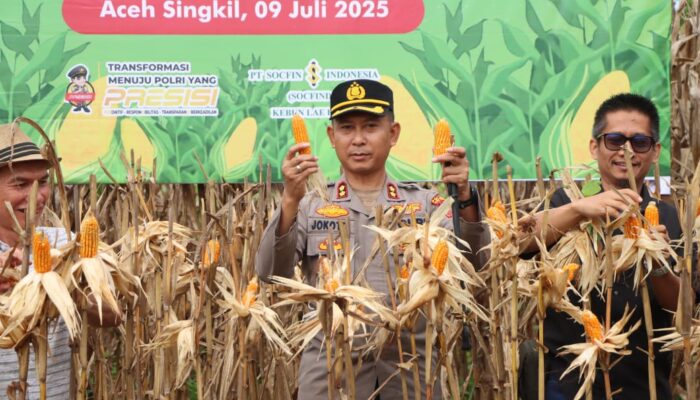 Polres Aceh Singkil Bantu Tanam Dan Panen Jagung Dukung Swasembada Pangan Nasional