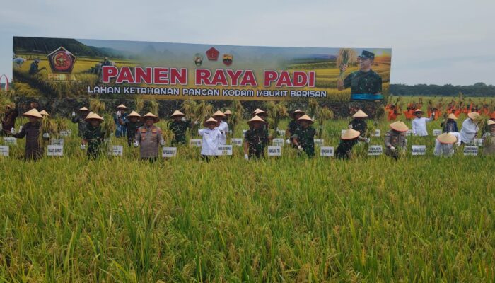 Panglima TNI Panen Raya 550 Ton Padi Di Deliserdang