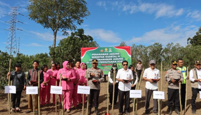 Polres Humbahas Tanam Jagung Kuartal III