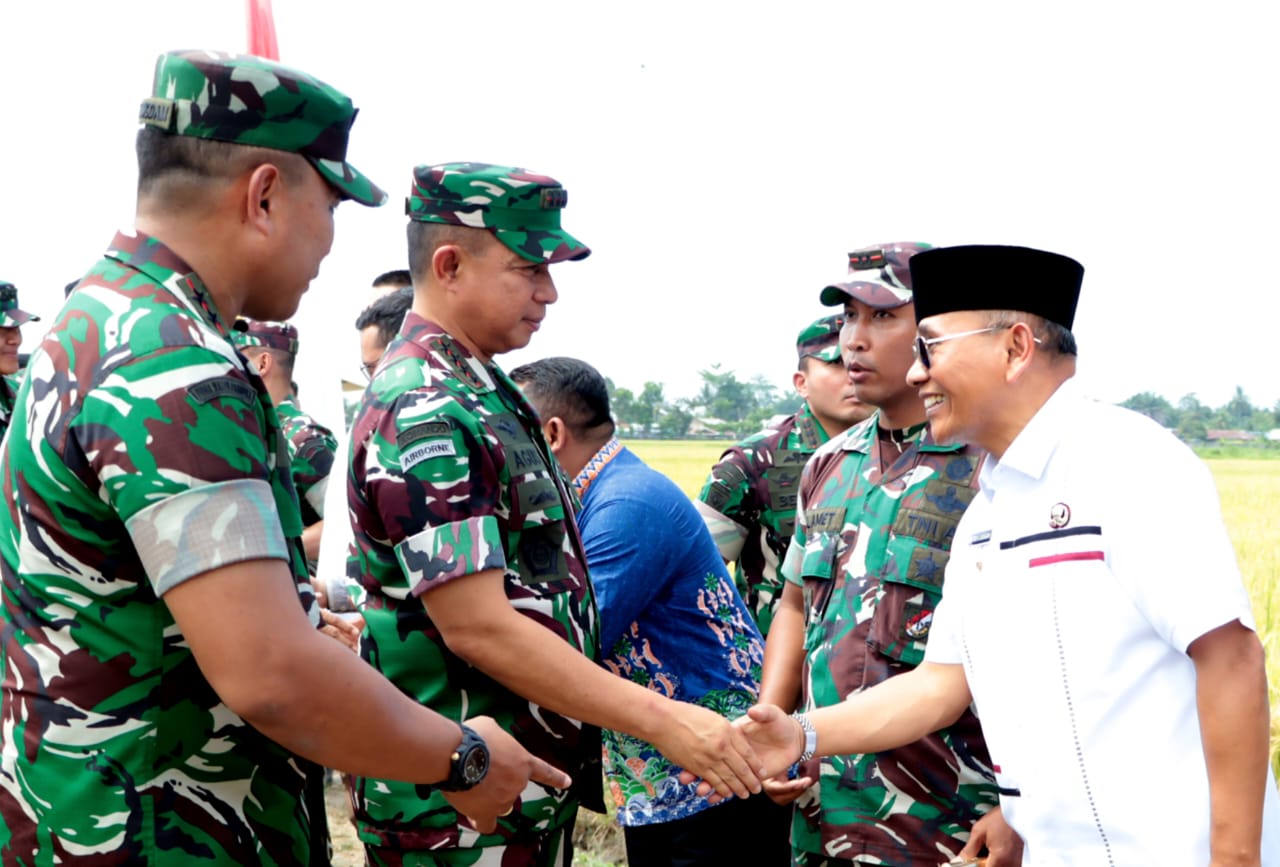 Bupati Simalungun Dan Wabup Ikuti Giat Panen Raya Padi Sawah Kodam I/BB