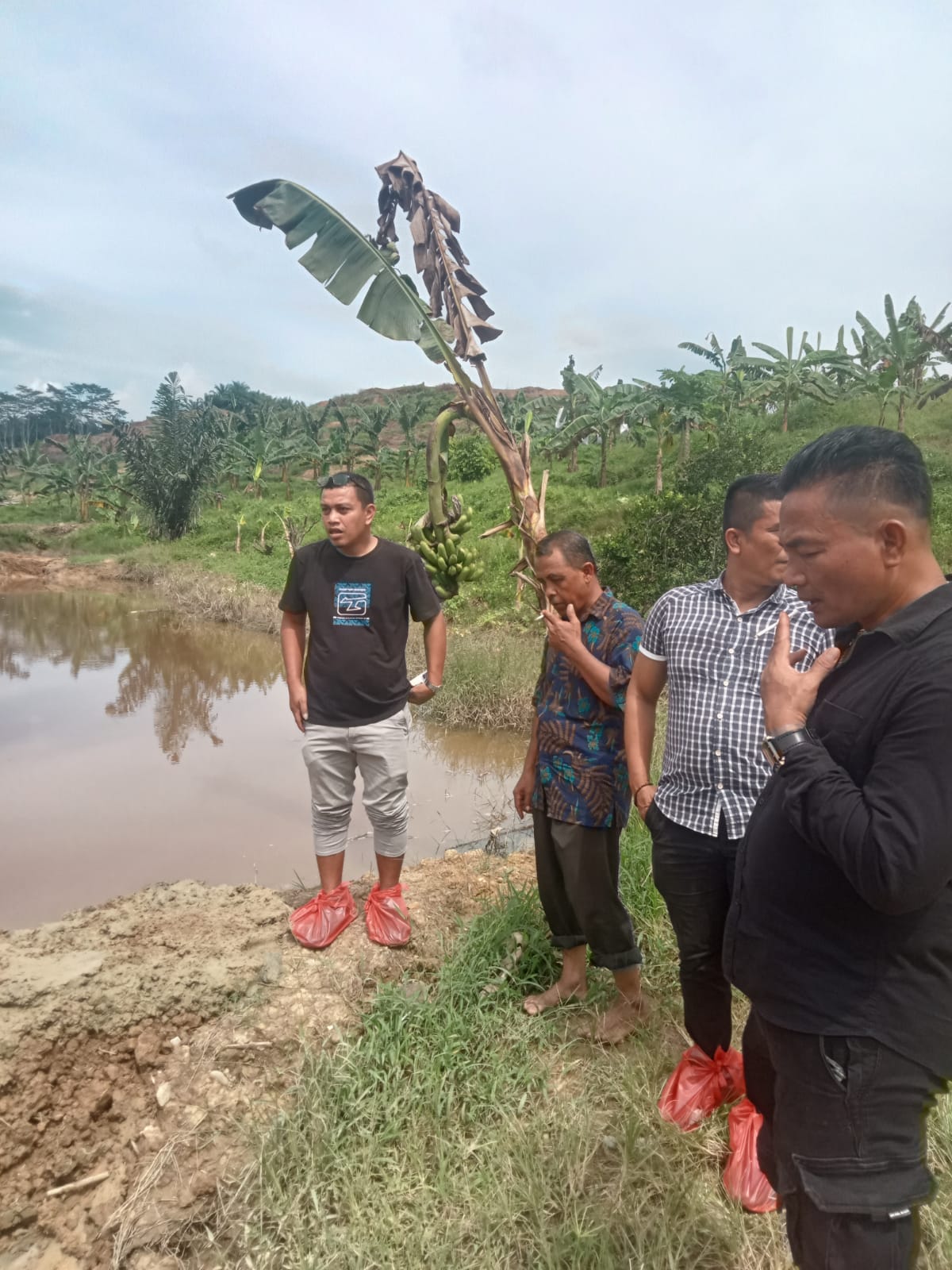 PT KPU Secara Terbuka Undang Forkopimcam Melihat Langsung Fakta Di Lapangan