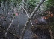 Karhutla Sibaganding Berhasil Dipadamkan, Polisi Imbau Warga Tak Bakar Lahan