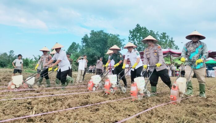 Pemkab Simalungun Dukung Penuh Program Swasembada Pangan Nasional