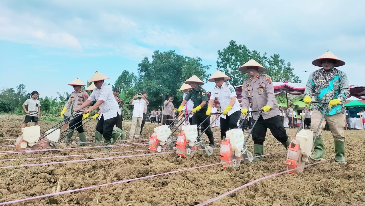 Pemkab Simalungun Dukung Penuh Program Swasembada Pangan Nasional