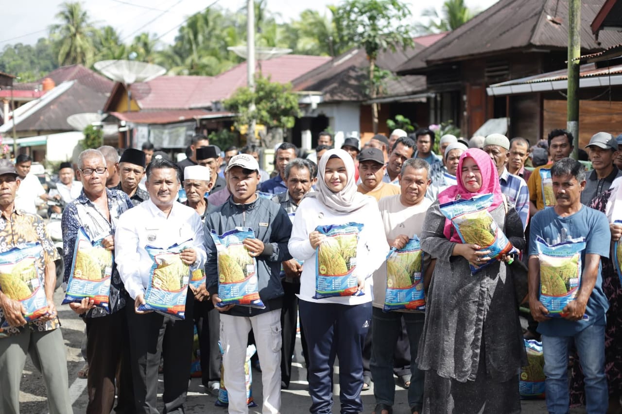162 Kelompok Tani Di Kotanopan Terima Bibit Padi