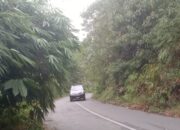 Pemkab Diminta Perhatikan Jalan Kabupaten