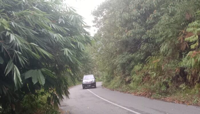 Pemkab Diminta Perhatikan Jalan Kabupaten