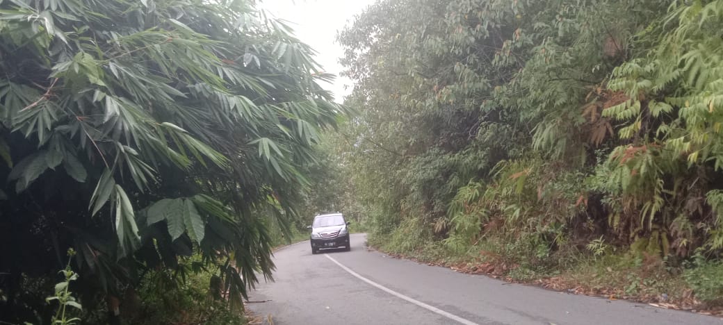 Pemkab Diminta Perhatikan Jalan Kabupaten