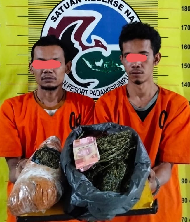 Polres Sidimpuan Gerebek Dua Pria Bawa Ganja 1,1 Kg