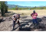 Personel Polsek di Bener Meriah Galakkan Kebun Pekarangan