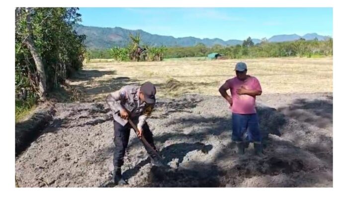 Personel Polsek di Bener Meriah Galakkan Kebun Pekarangan