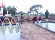 Kodim Aceh Tamiang Tanam Jagung Perdana Di Lahan Kompi Produksi